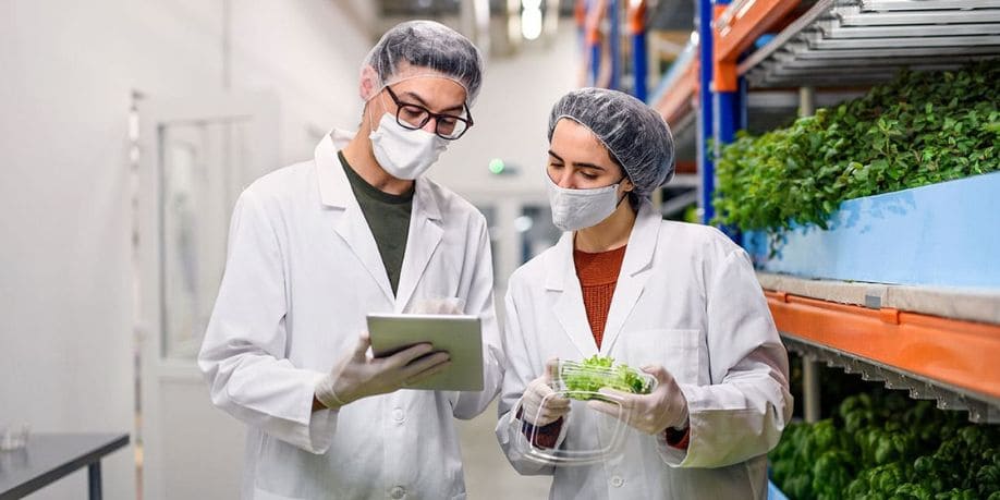Imagen del artículo Inocuidad alimentaria, requisito para mantenerse en un mercado global competitivo